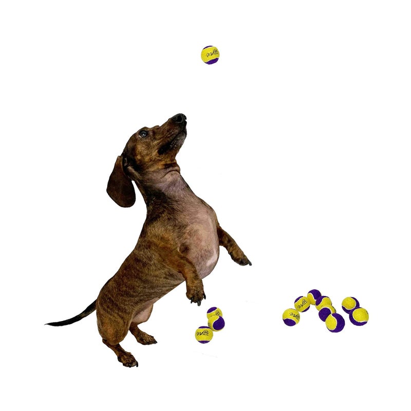 Midlee Squeaky Mini Tennis Ball for Dogs 1.5"- Pack of 12 (Yellow/Purple) - Image 2